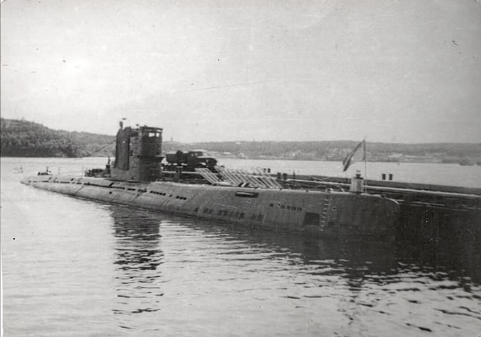 Подводная лодка 613 э Катран