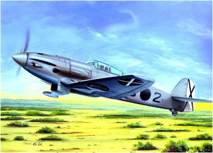 Хенкель 112 самолет