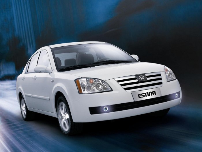 ТАГАЗ Vortex Estina