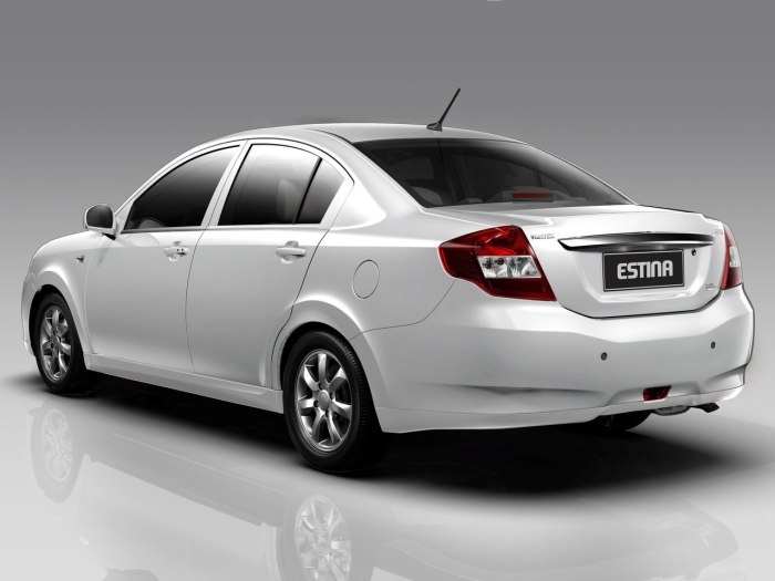 ТАГАЗ Vortex Estina
