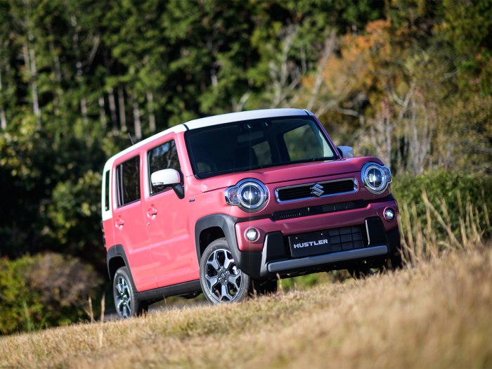 Suzuki Hustler 2022