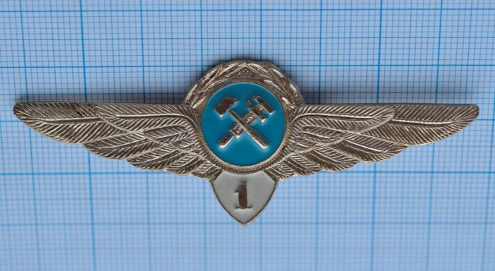 Значок ту 134