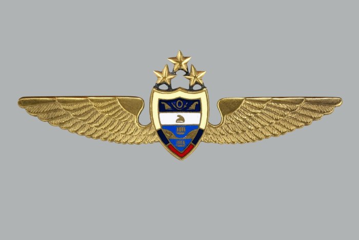 Шевроны пилота гражданской авиации