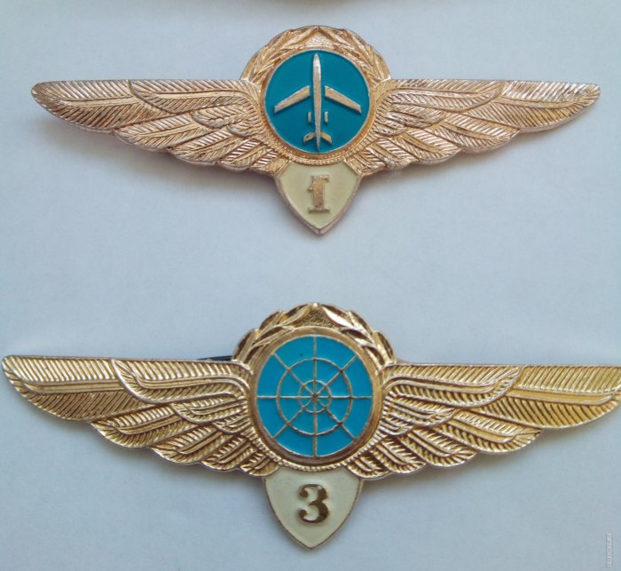 Знак гражданской авиации
