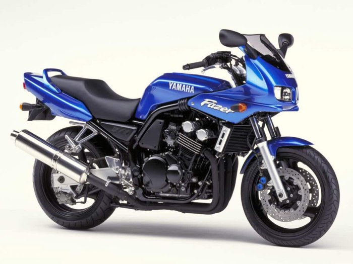 Yamaha FZ 600 fazer