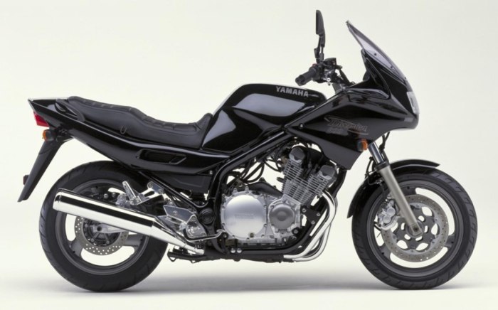 Yamaha XJ 900 diversion