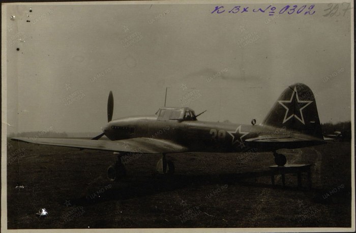 Ил 10