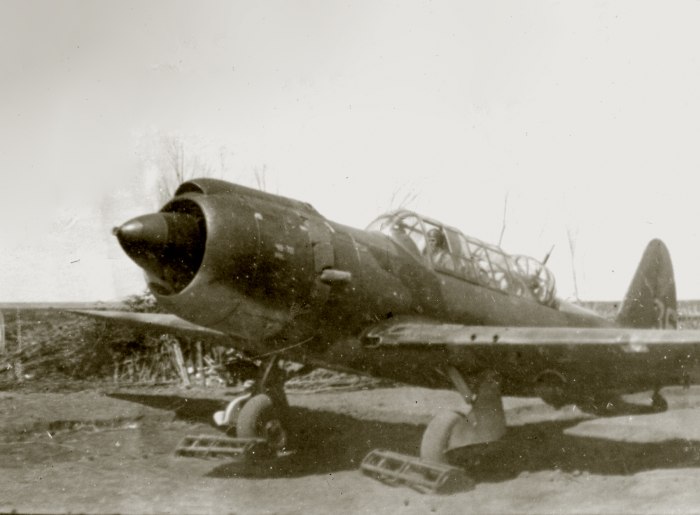 Штурмовик сухого 1941