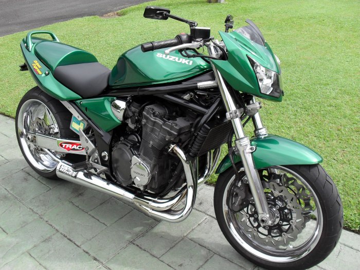 Suzuki gsf1200s Bandit
