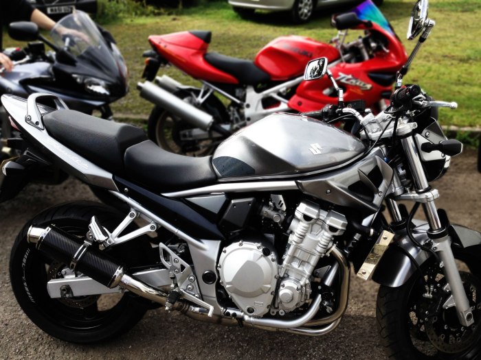 Suzuki Bandit 250