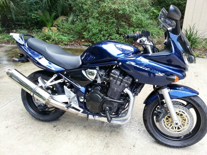 Suzuki Bandit 2002