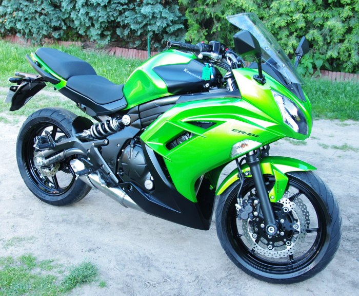 Кавасаки 600 кубов