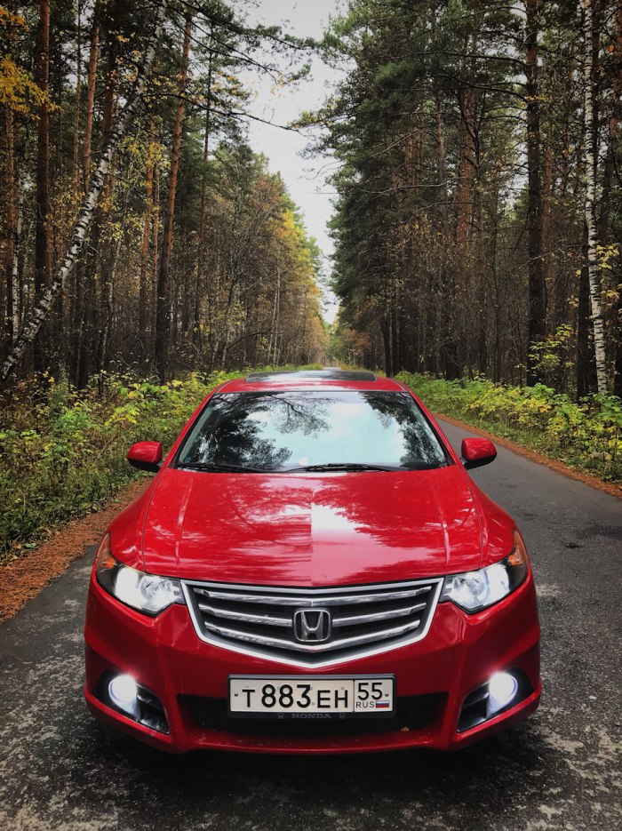 Хонда аккорд красная