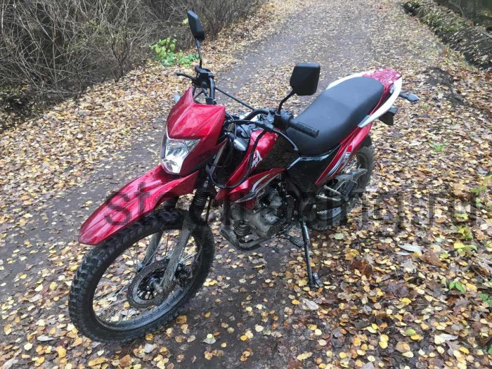ЗИД 250 красный