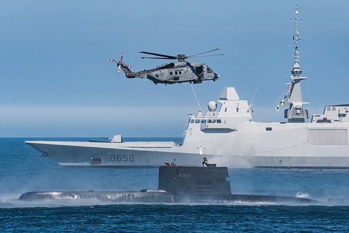 Французские морские силы
