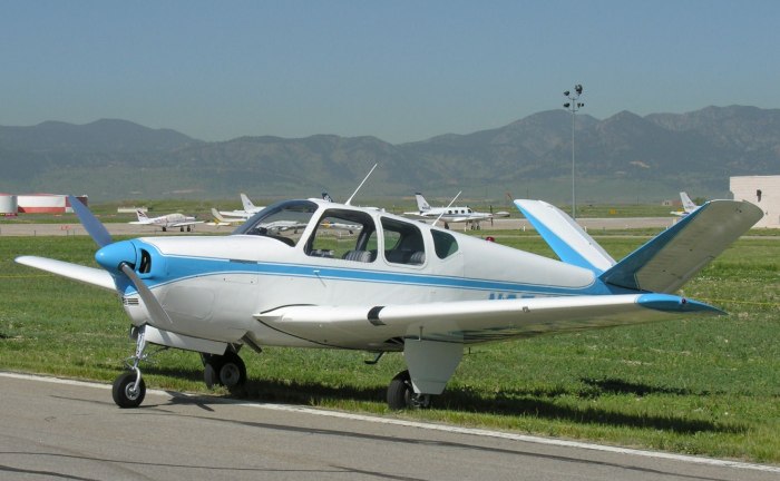 Beechcraft Bonanza g36