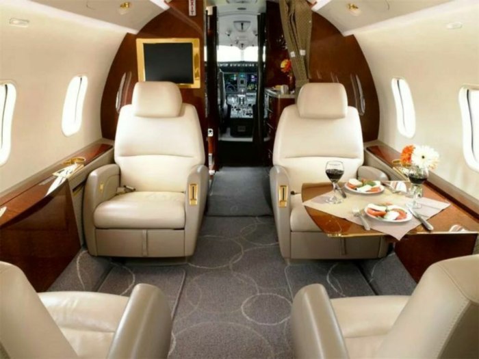 Challenger 300