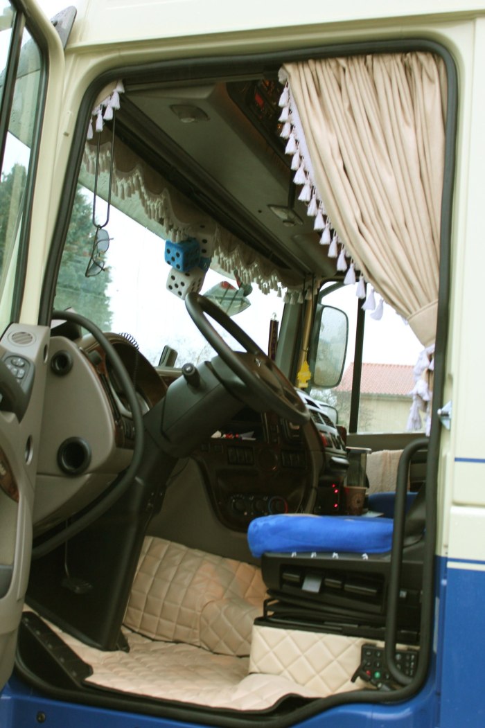 Шторки спальника Iveco Stralis