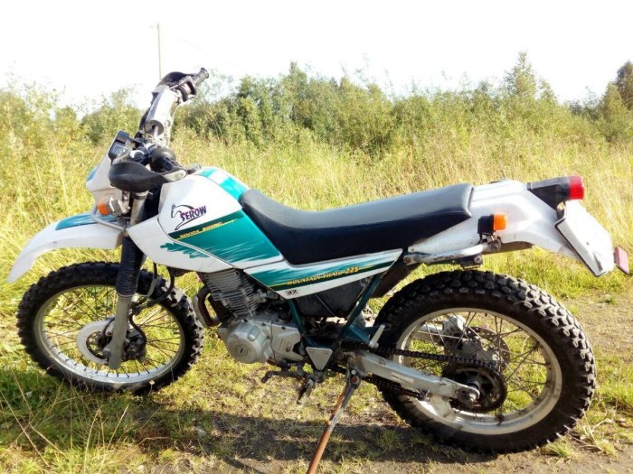 Ямаха Серов 225