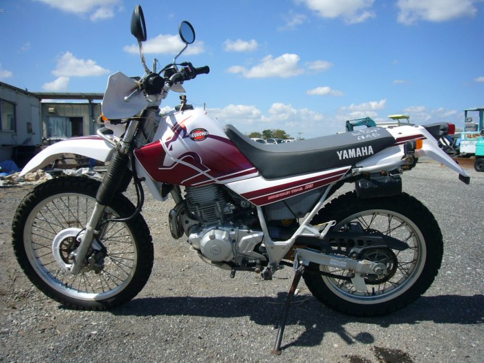 Ямаха Серов 250