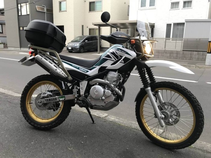 Yamaha xt250 Touring Serow