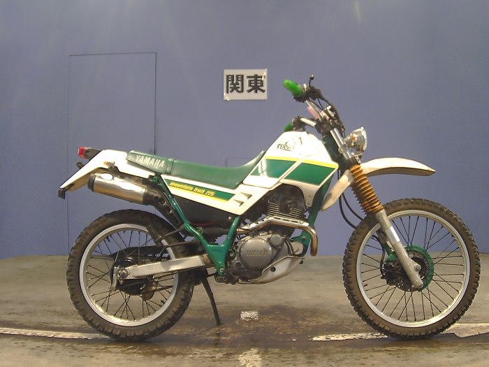 Yamaha XT 225 we