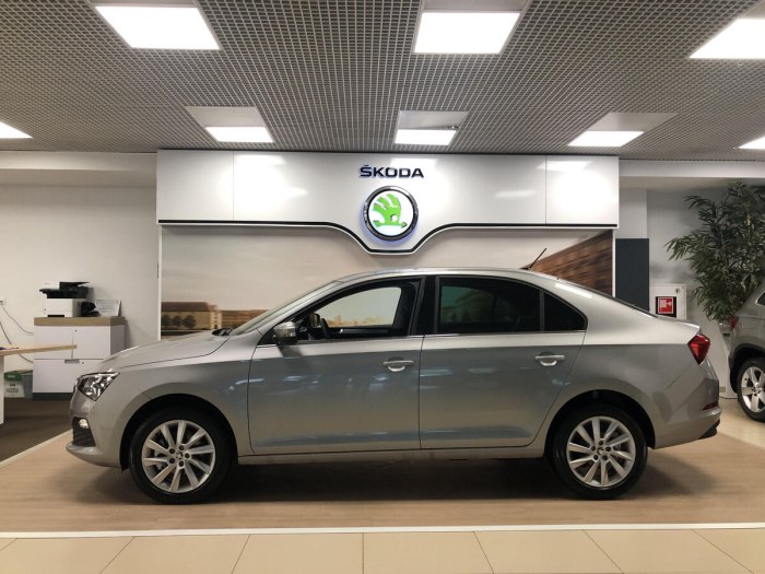 Skoda Rapid 2020 серый