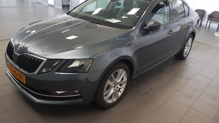 Quartz Grey Skoda