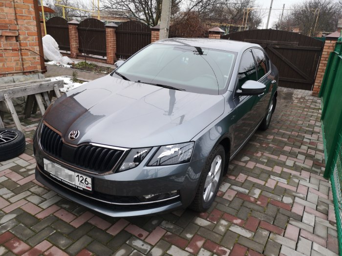Skoda Octavia 2021 серый металлик