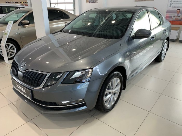 Skoda Octavia 2017 серая
