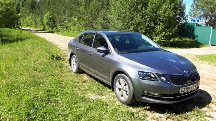 Skoda Octavia Platinum Grey