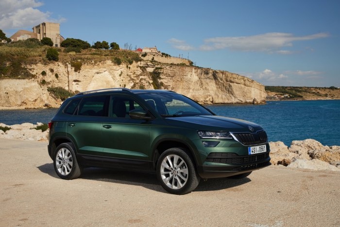 Skoda Kodiaq 2020 зеленый