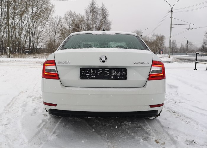 Skoda Octavia a7 сзади