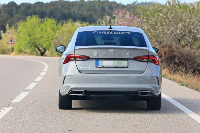 Skoda Octavia a8 сзади