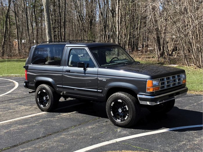 Ford Bronco II 1990
