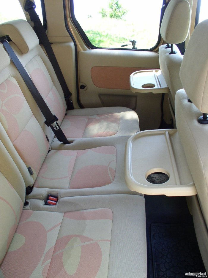 Ford Tourneo connect 2007 салон
