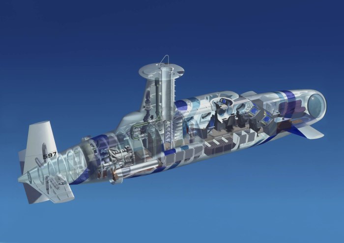Частная подводная лодка Nomad 1000