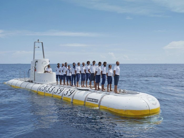 Подводной лодке Whale Submarine