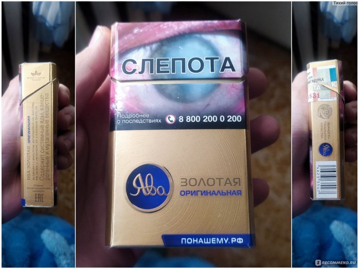 Ява 100