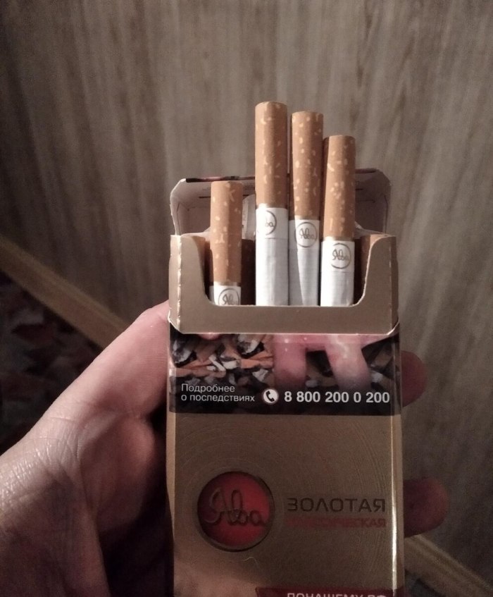 Ява Золотая компакт