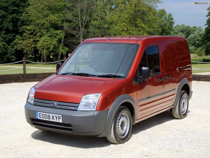 Ford Tourneo connect 2006