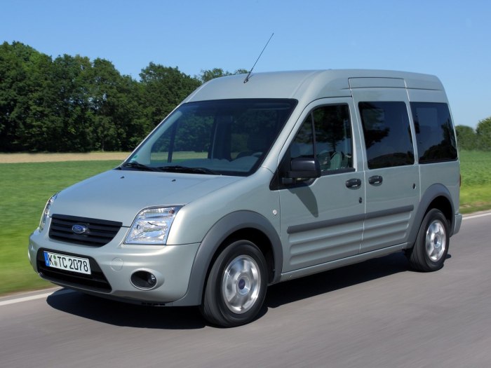 Ford Tourneo connect i