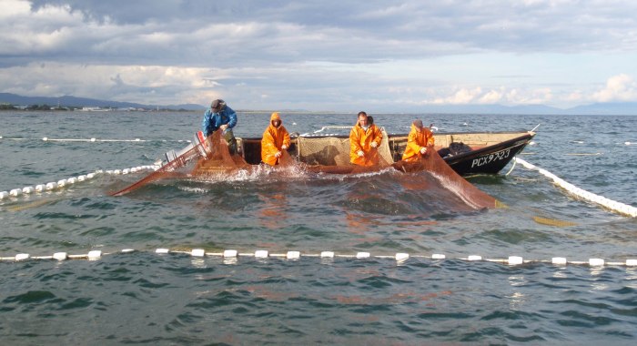 Морской невод Камчатка