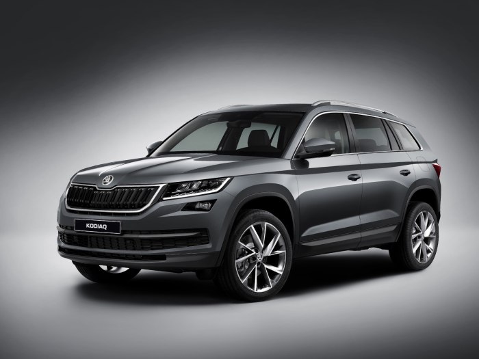 Skoda Kodiaq 2016
