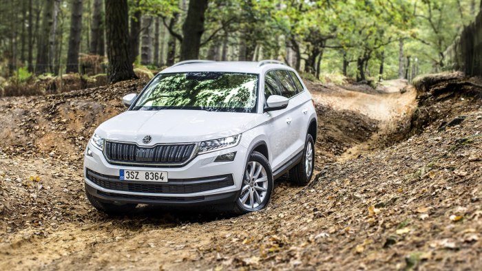 Skoda Kodiaq белый