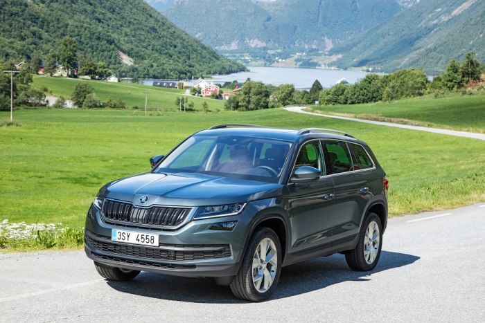 Кроссоверы Skoda Kodiaq