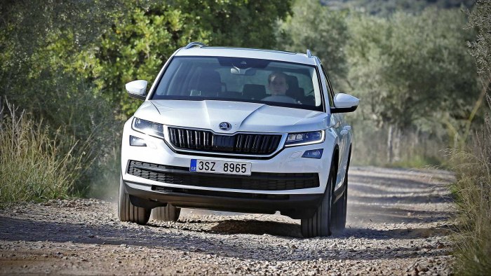 Skoda Kodiak 2020