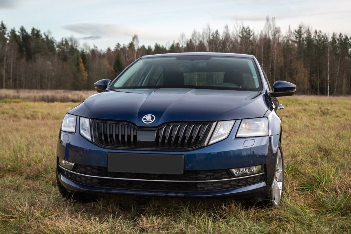 Skoda Octavia 2017