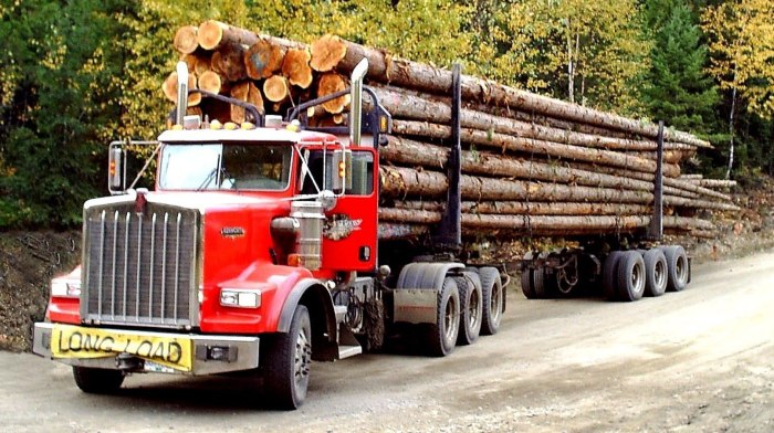 Kenworth w900b лесовоз