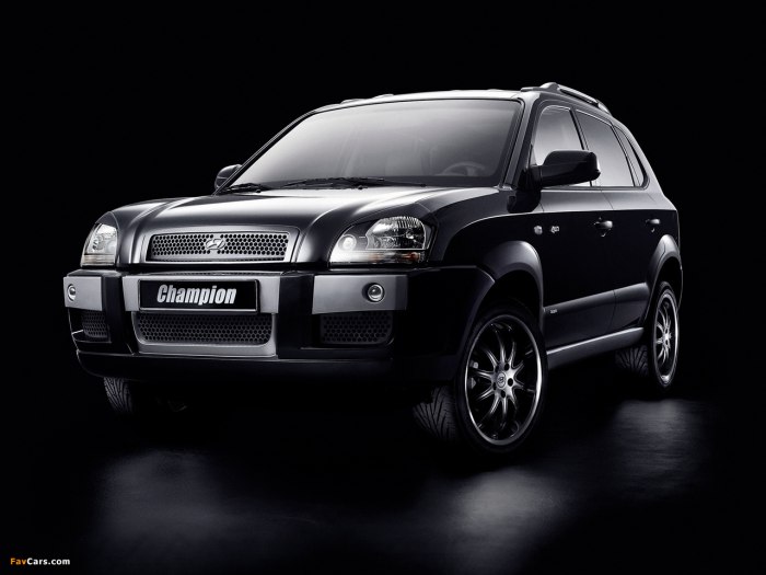 Hyundai Tucson 1 (JM) 2004-2009